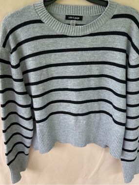 Gray Crewneck Sweater with Black Stripes